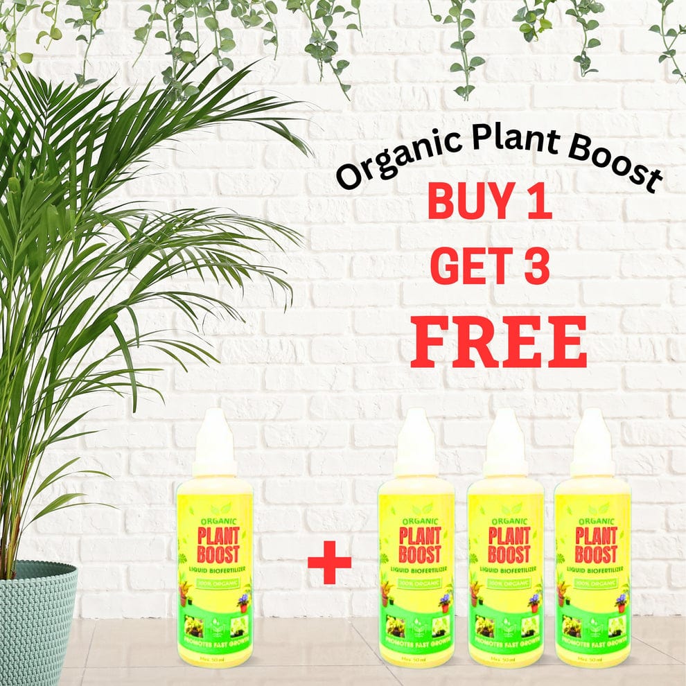 Bloomup™️ (Pack of 4) | Plant Nutrients Hormone Fertilizers Growth Regulators In Plant  BloomUp™️ Plant Growth Liquid Fertiliser (Buy 1 Get 3 Free) Zaavio®