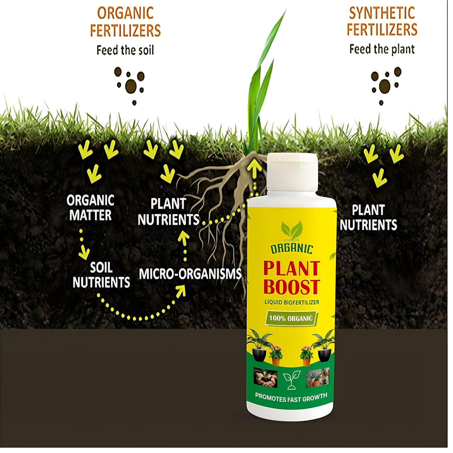 Bloomup™️ (Pack of 4) | Plant Nutrients Hormone Fertilizers Growth Regulators In Plant  BloomUp™️ Plant Growth Liquid Fertiliser (Buy 1 Get 3 Free) Zaavio®