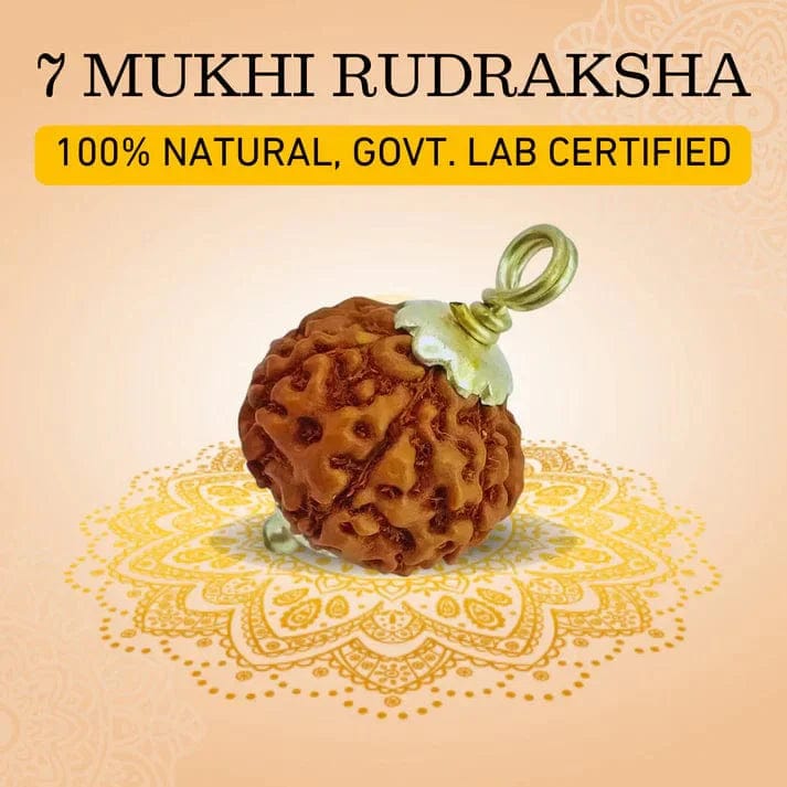 Rudraksha Pendant | 7 Mukhi Rudraksha Seven Faced Rudraksha Beads Pendant Benefits 7 Mukhi Rudraksha Silver Capped Pendant Zaavio®